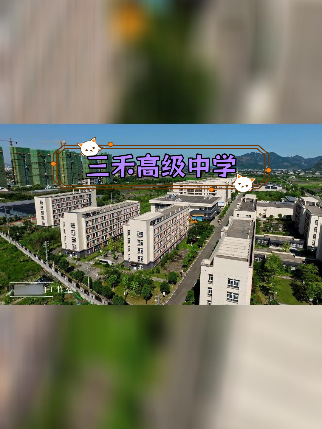 苍南三禾中学:设施齐全,教学领先