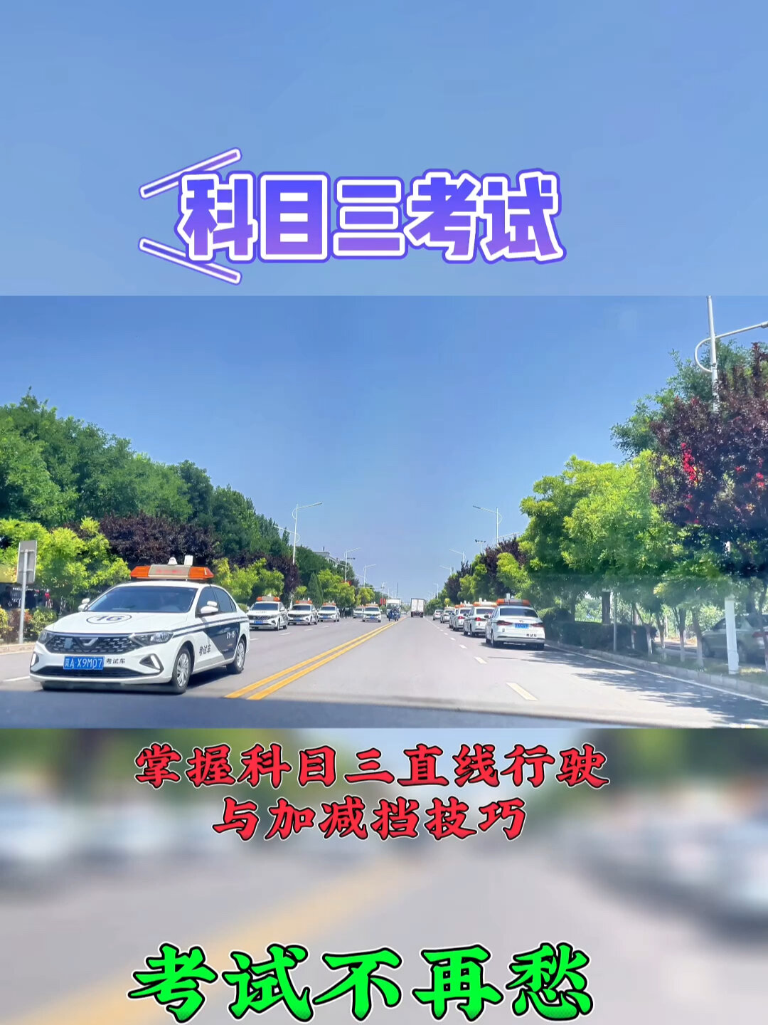 直线行驶找什么参照物图片