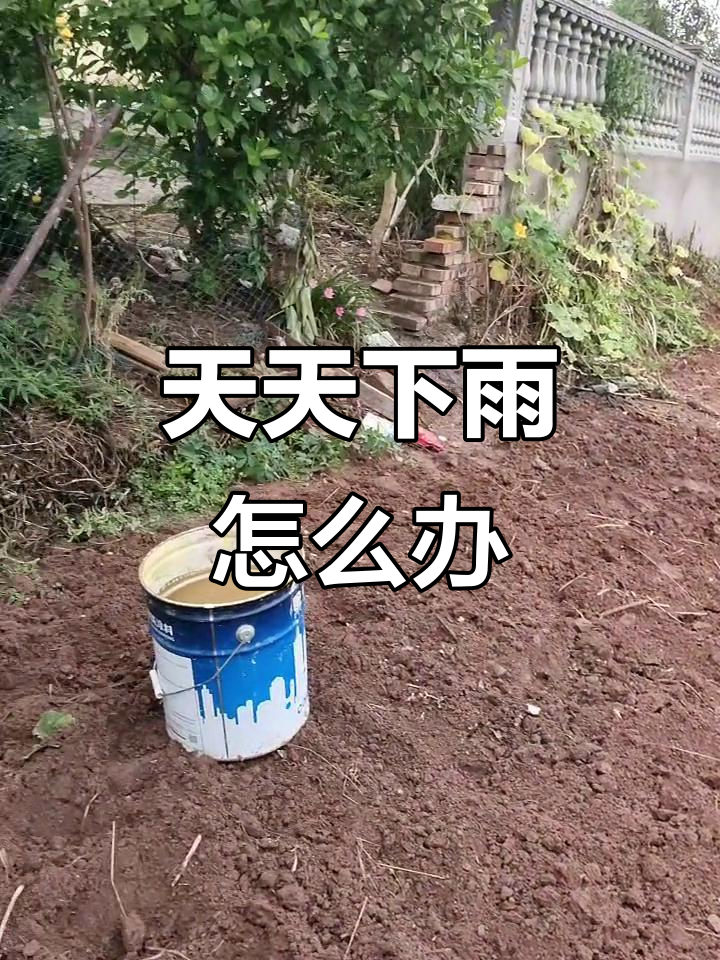 每天下雨不停,东海龙王电话能解决问题吗?