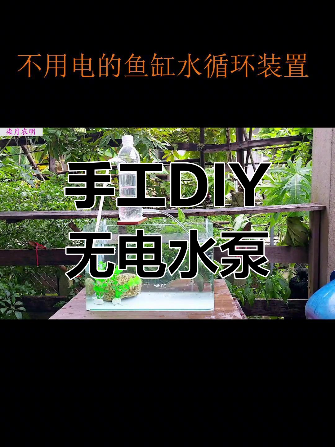 自制家庭养鱼水循环图片