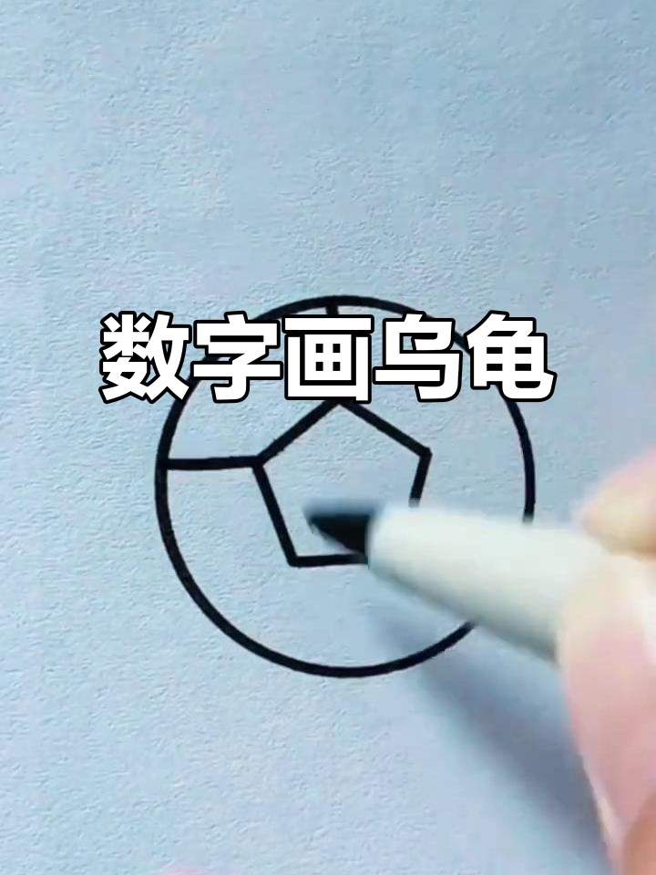用数字画乌龟,简单又有趣