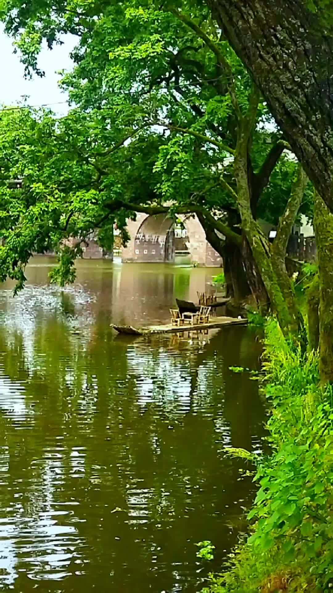 江南水乡美如画好山好水好风景新闻界前辈曹聚仁故里我要上热门