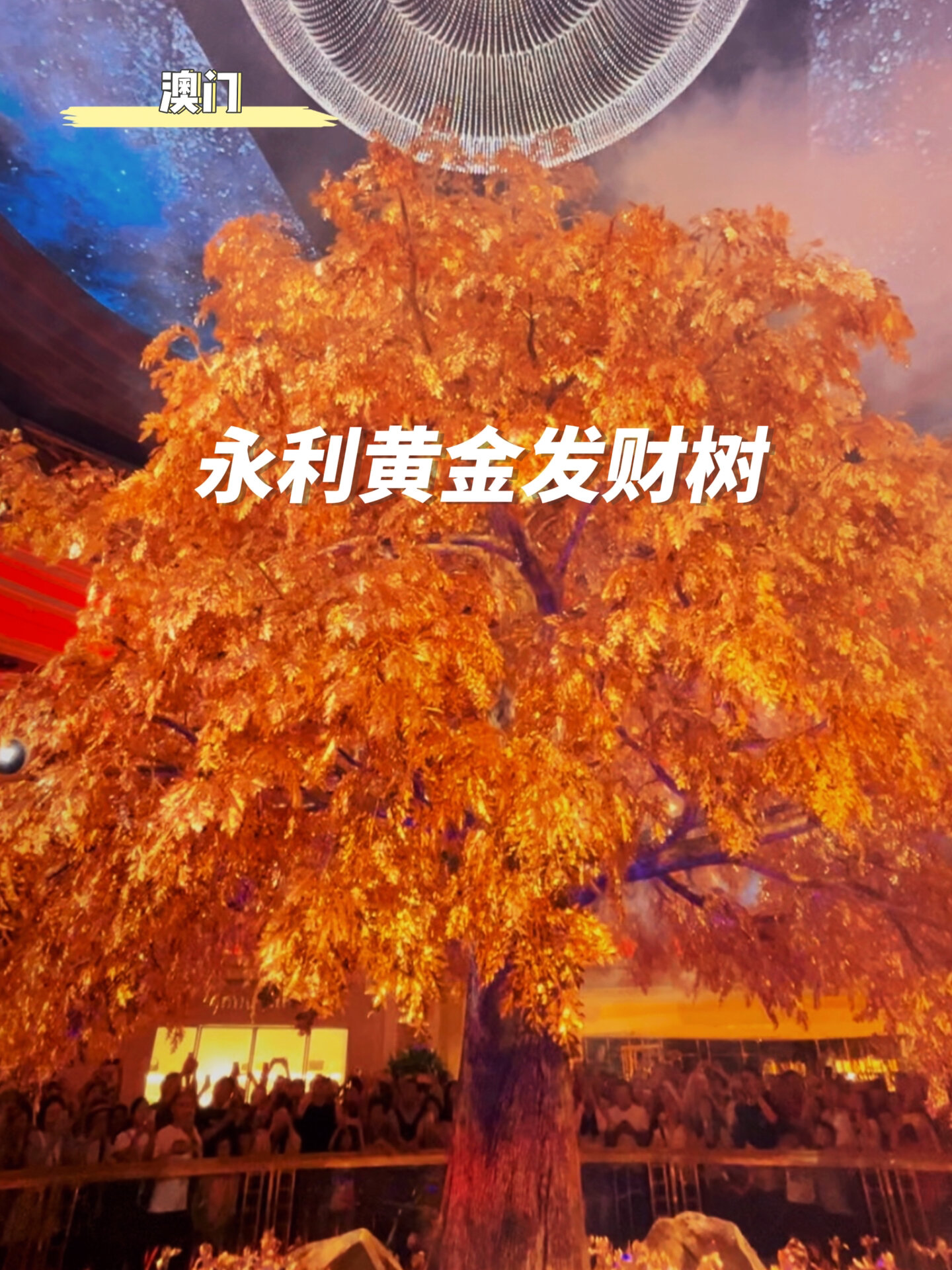 被价值20亿的黄金发财树闪到了,太震撼啦