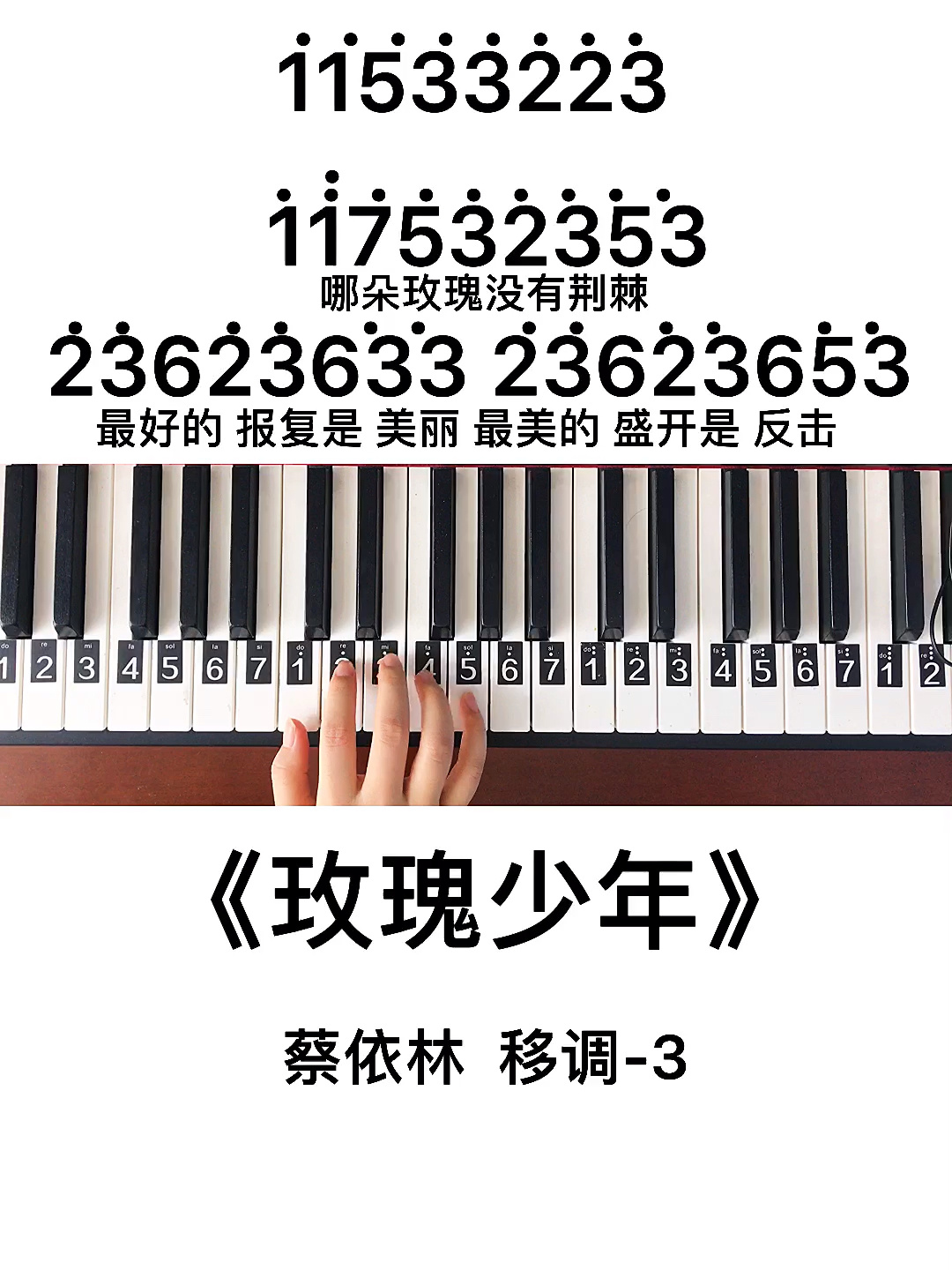 《玫瑰少年》钢琴教程
