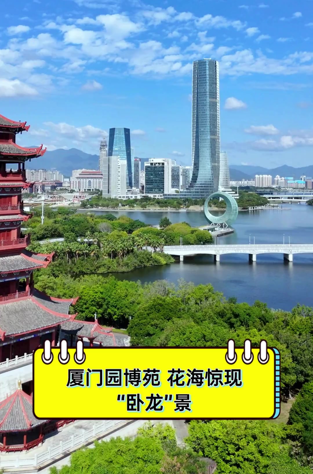 厦门园博苑,花海惊现"卧龙"景