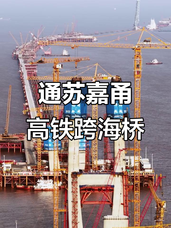 新华社权威快报丨杭衢高铁开通运营 长三角城际快速交通网再添新动脉