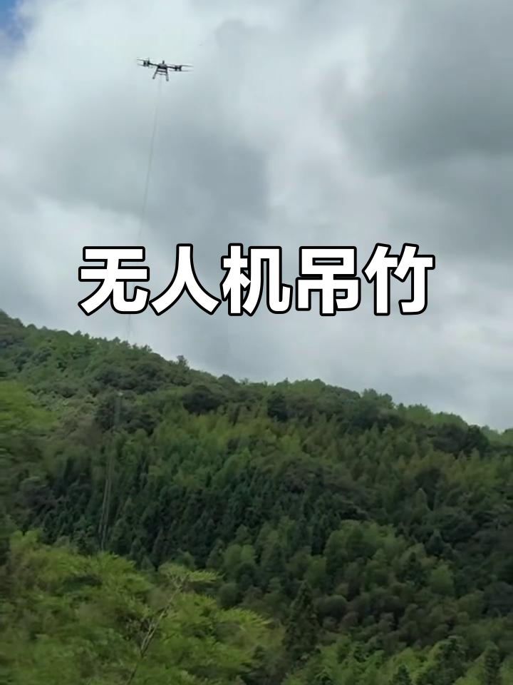 无人机吊运毛竹,轻松搞定山林作业