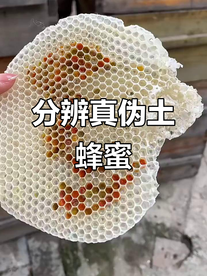 土蜂蜜的辨别方法(如何鉴别土蜂蜜的真伪)