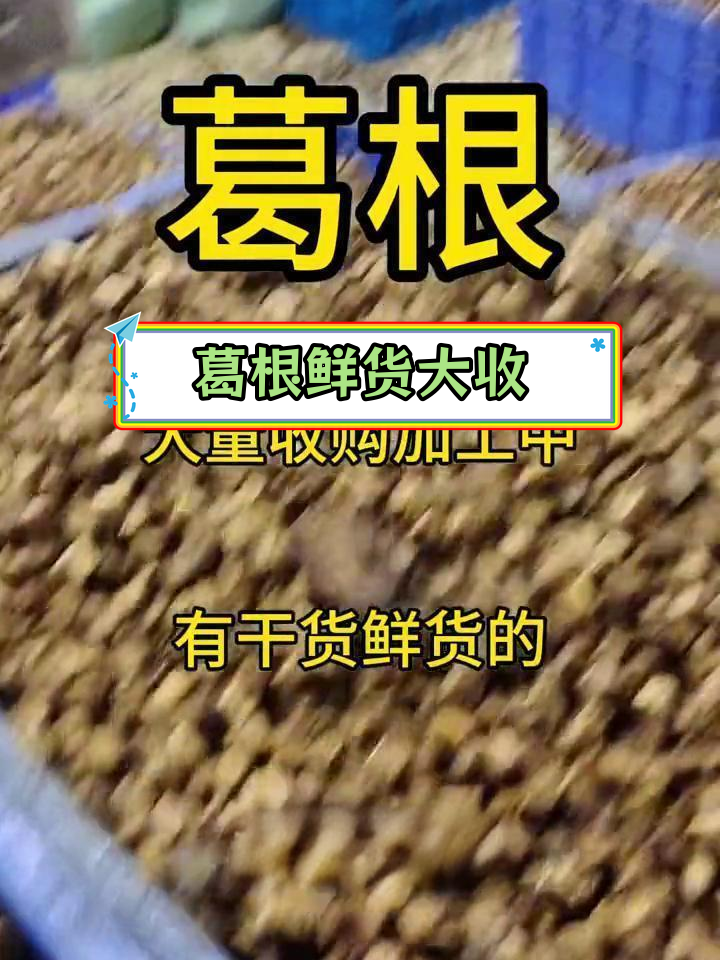 大量收购中药材老板图片