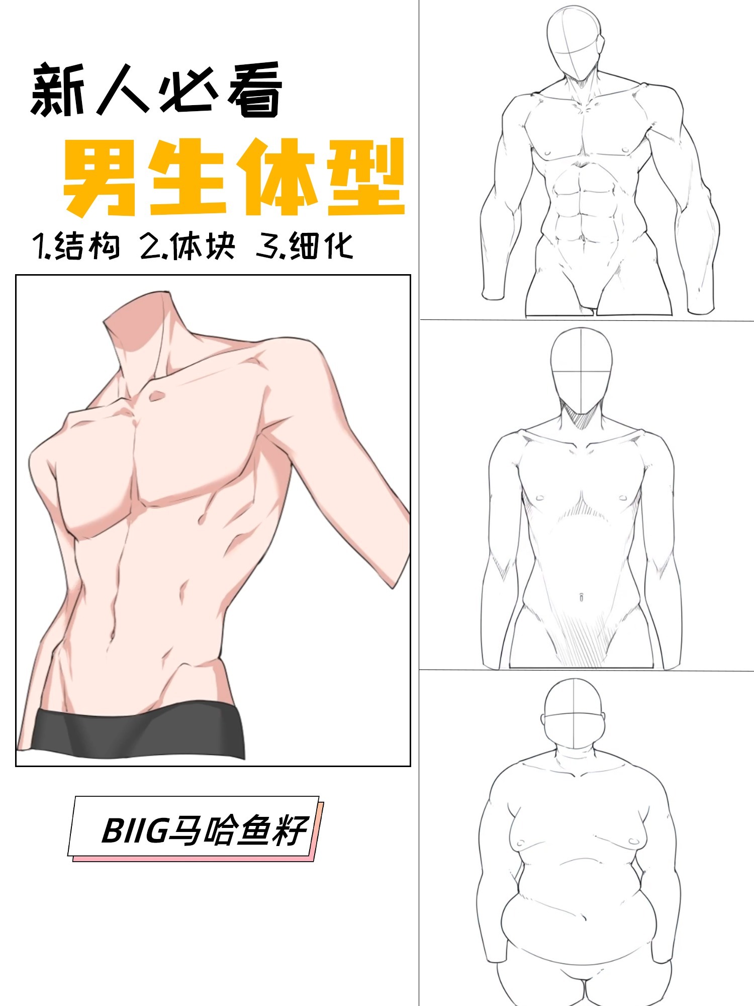 二次元不同男生体型画法小教程分享