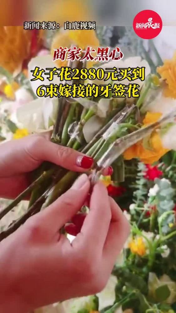 太黑心!女子花2880元买的6束花蓝都是牙签花,均用胶带牙签固定