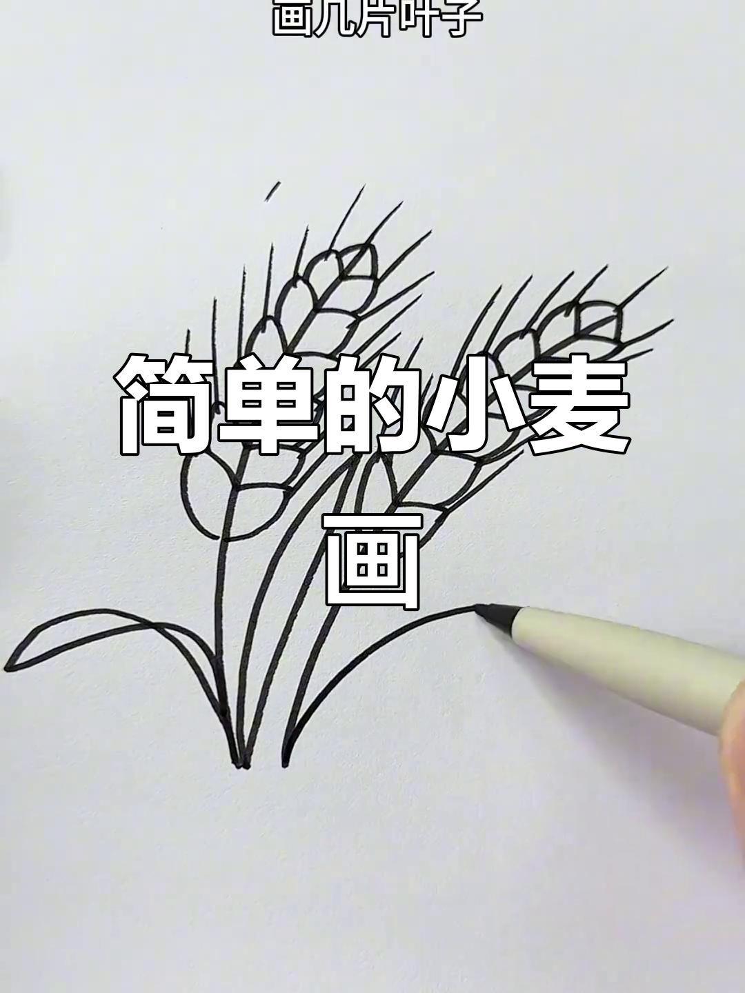 小麦简笔画,轻松学会画小麦