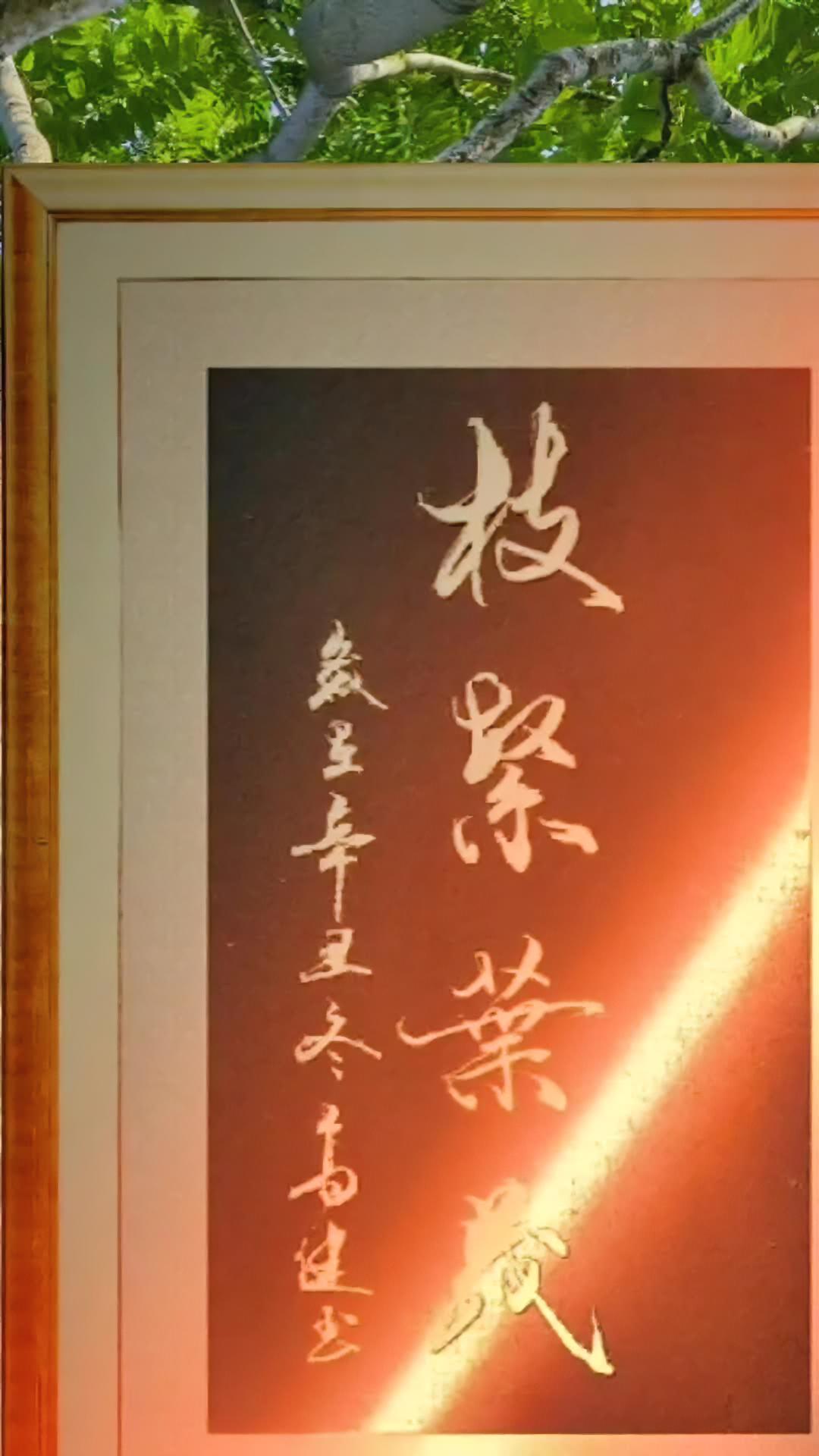 枝繁叶茂 手写 原创 原创书法 创作灵感 优质创作者