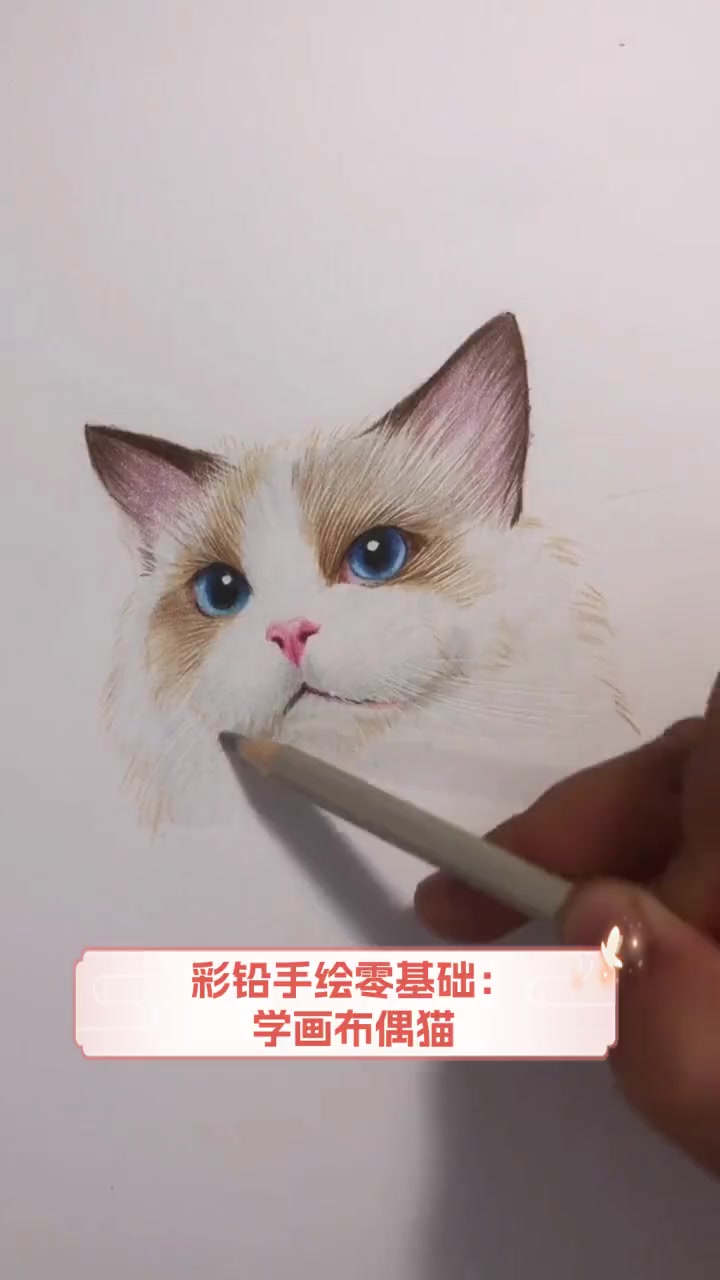 彩铅手绘零基础:学画布偶猫