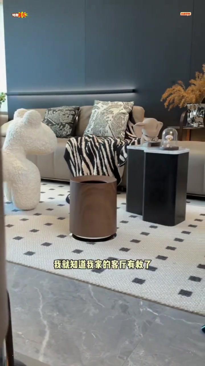 垃圾桶木纹垃圾桶摆在哪里都显的很有高级感 垃圾桶 客厅垃圾桶 家用