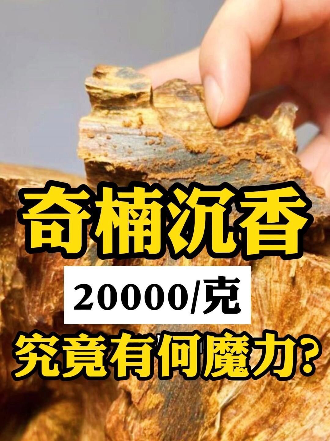 20000一克奇楠沉香究竟有何魔力