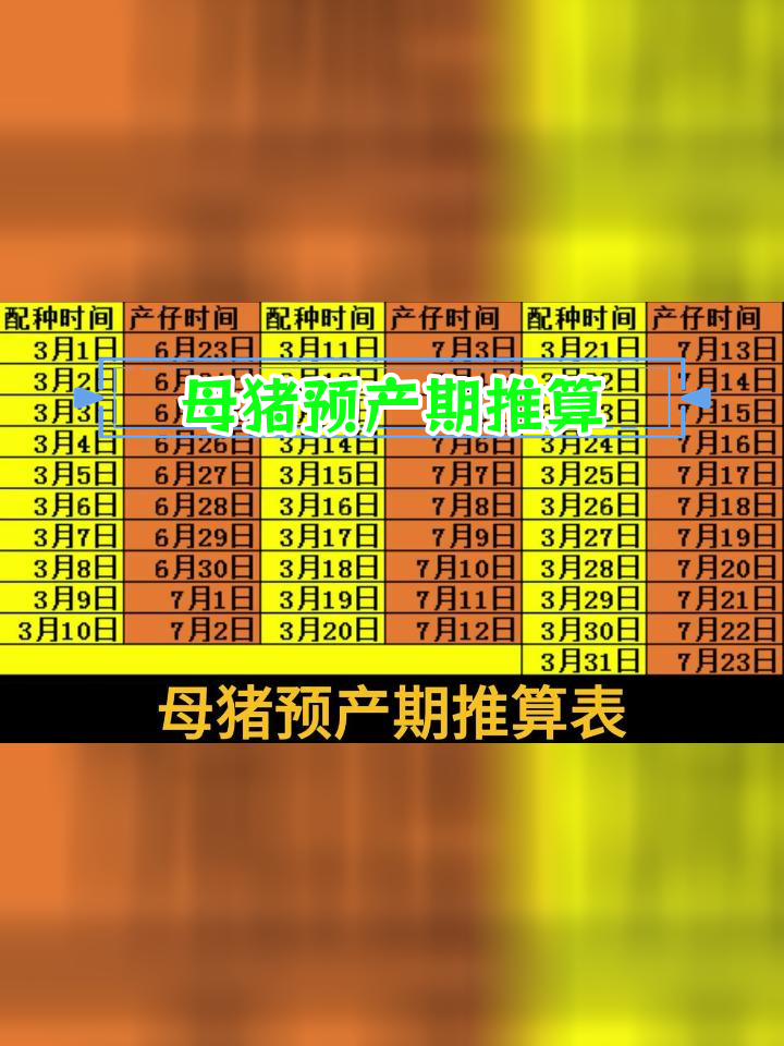 2024年母猪预产期计算表,轻松推算