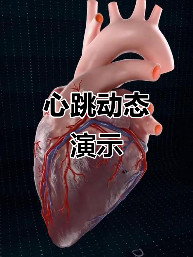心脏跳动动画,感受生命的节奏