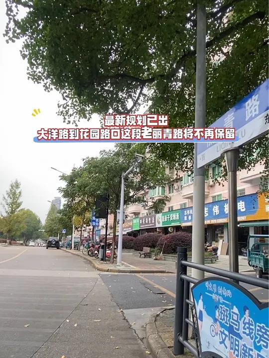 丽水大洋路鸡图片