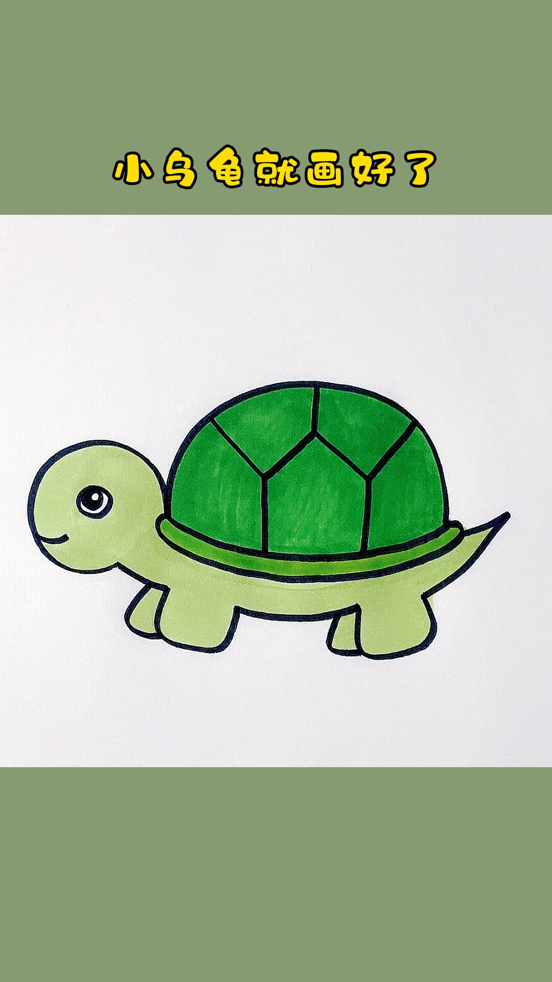 乌龟简笔画图片带颜色图片