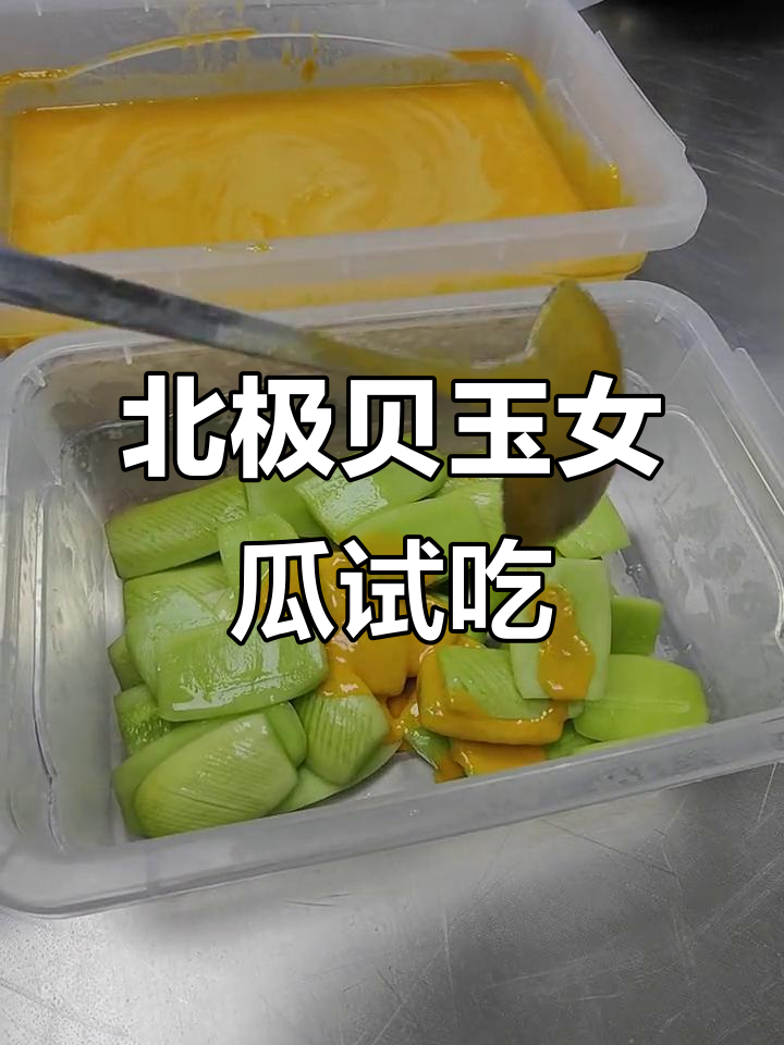 北极贝玉女瓜试菜,明天中午揭秘美味