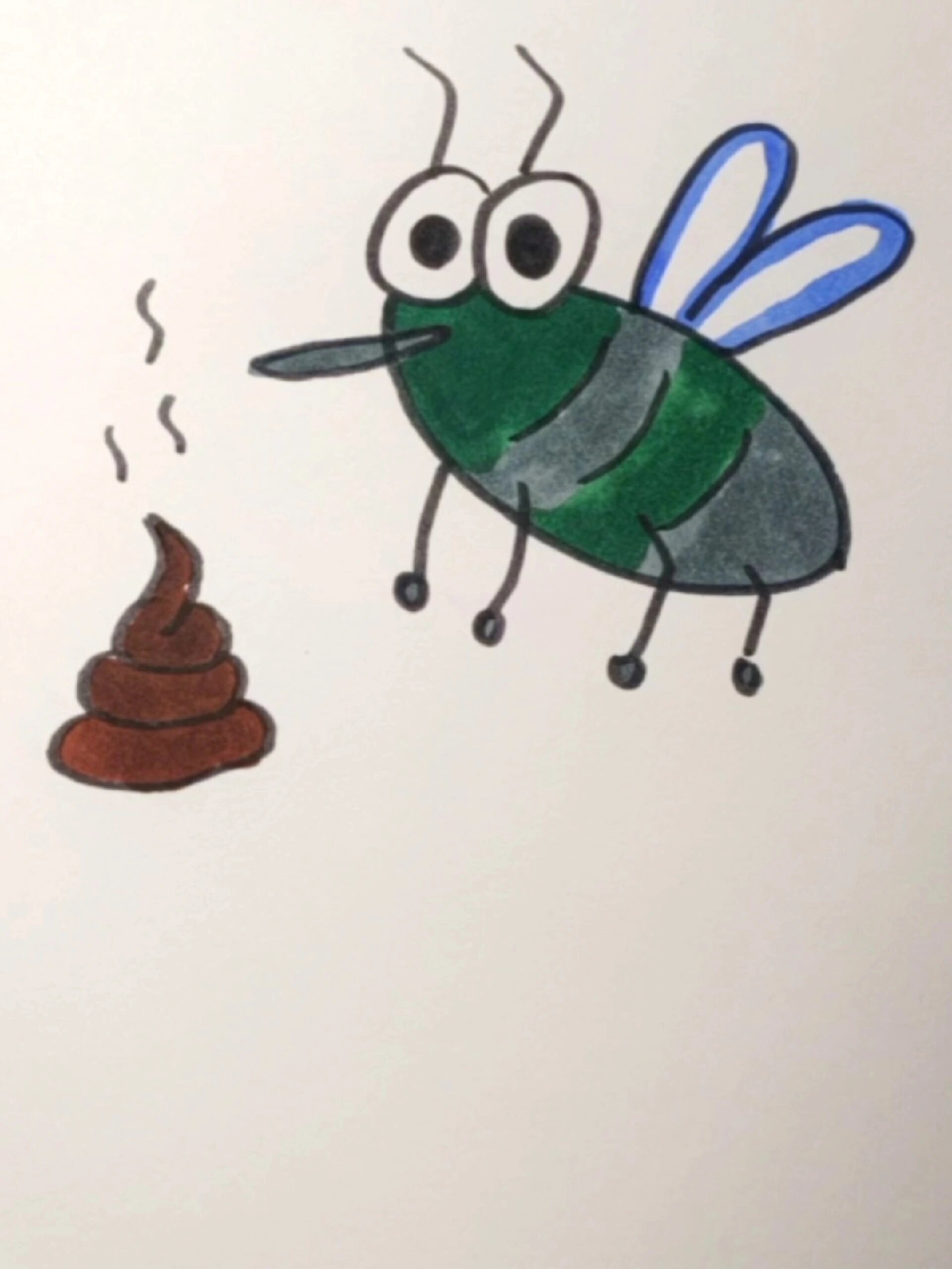 苍蝇简笔画