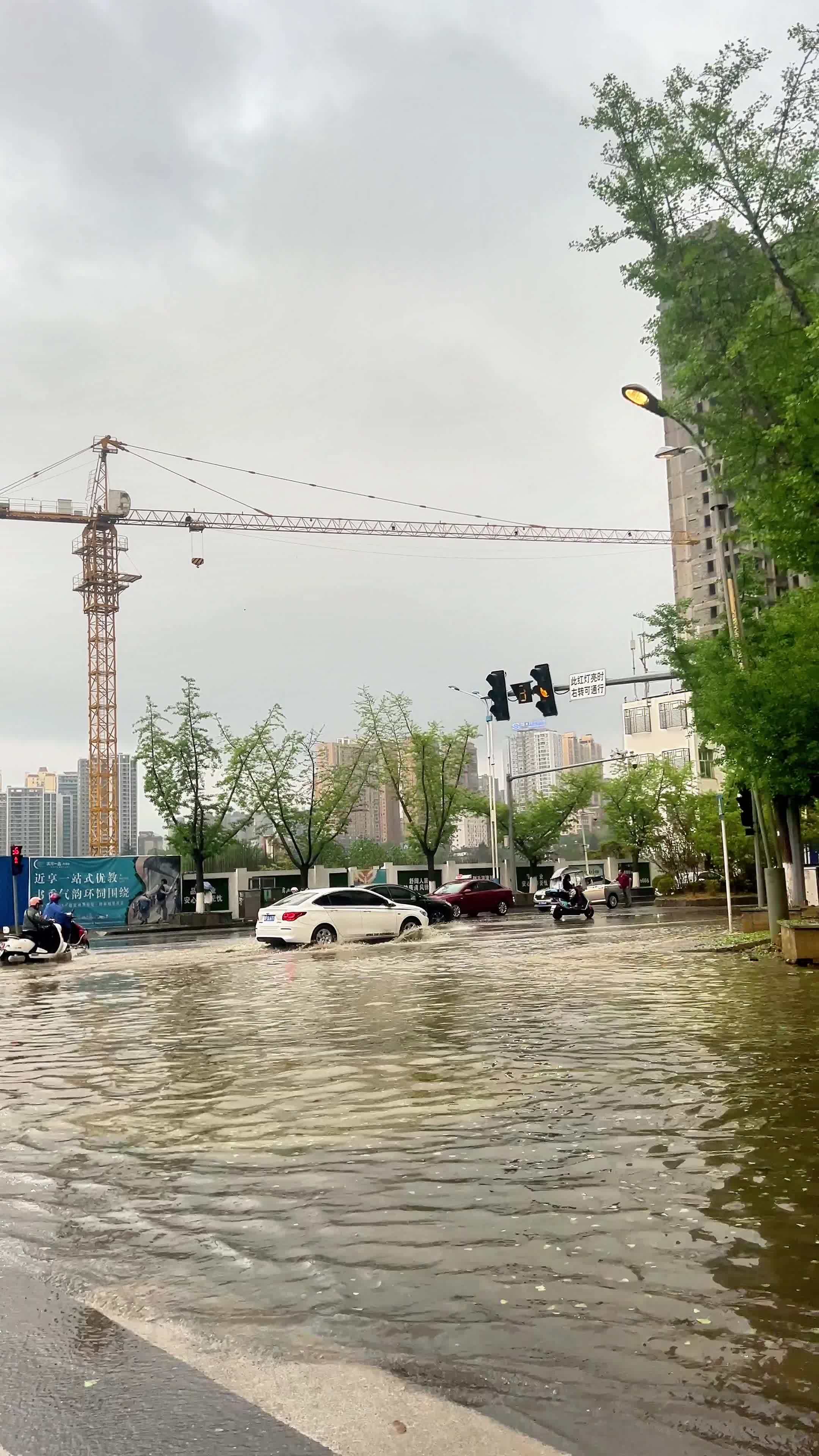 毕节暴雨洪灾图片