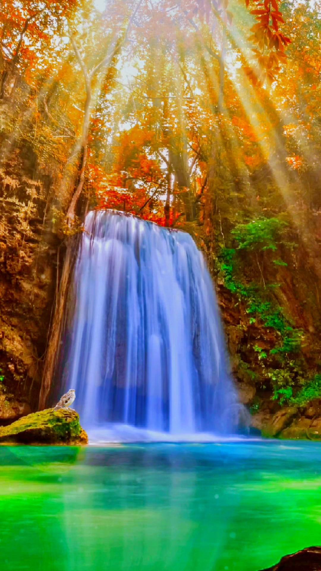 治愈系风景 动态壁纸