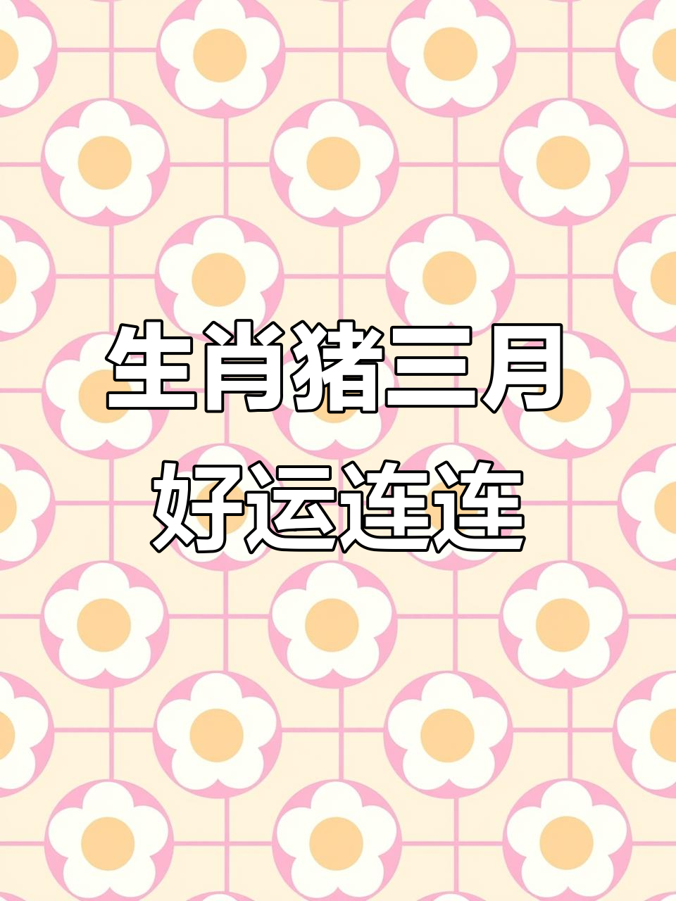 19年猪生肖运势(属猪2019年运势及运程每月运程19)