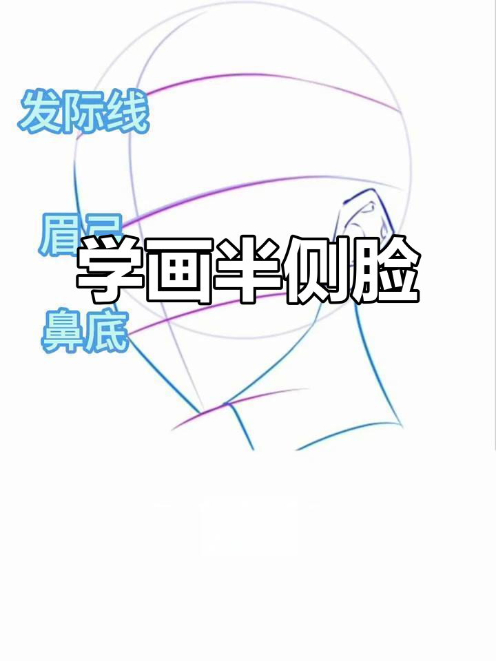 轻松掌握脸部起搞技巧,画出完美半侧脸