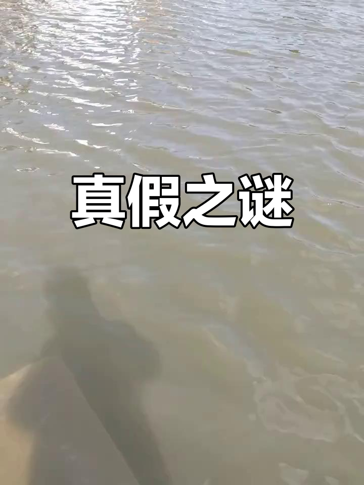 超度真的假的-超度真的有用吗