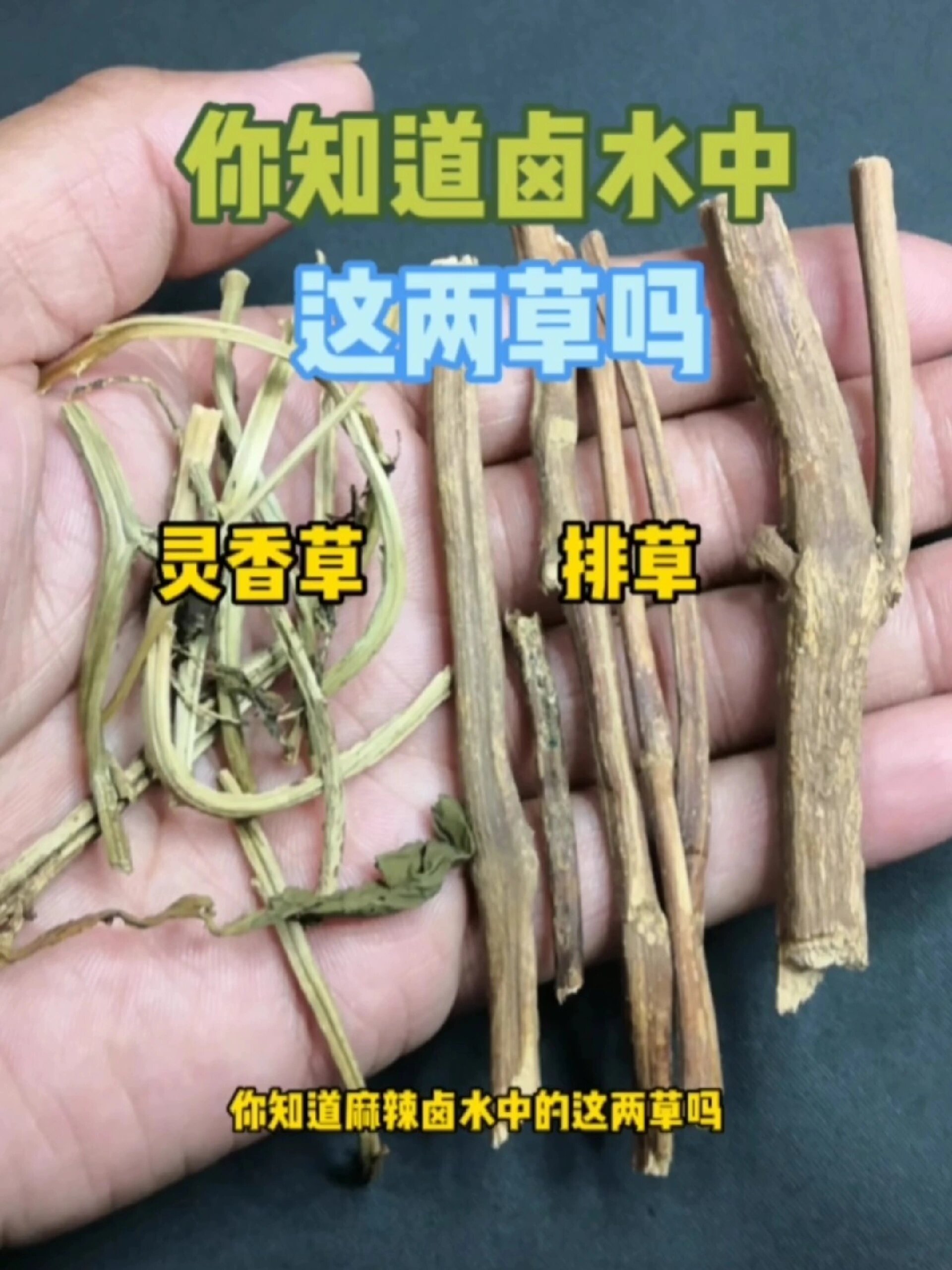 排草功效图片