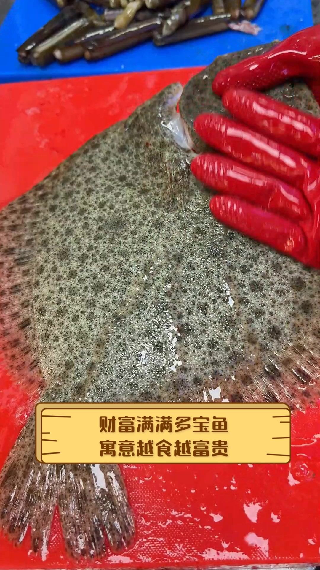 财富满满多宝鱼,寓意越食越富贵
