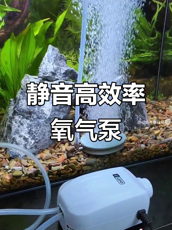 小巧静音增氧泵,鱼缸必备大气量