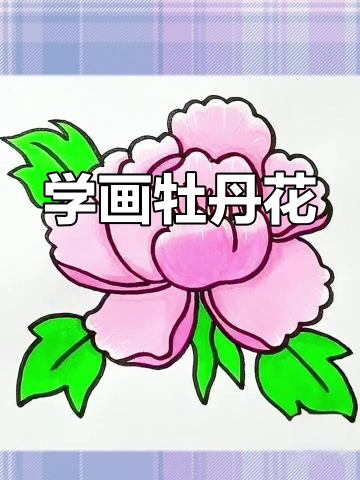 牡丹花简笔画教程,轻松学会画富贵之花