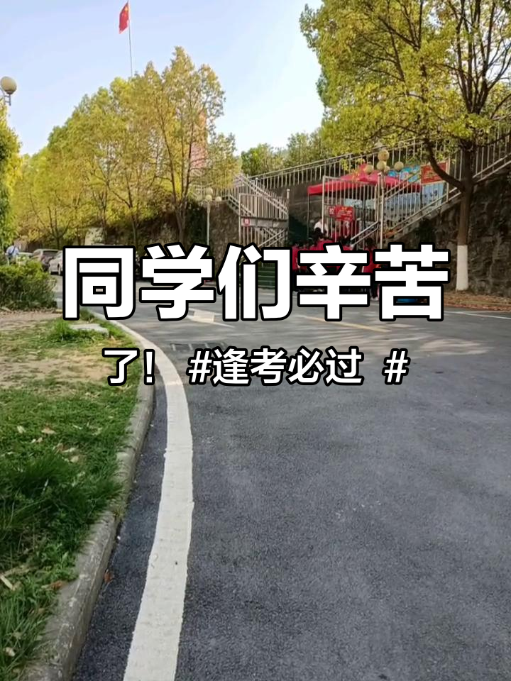 同学们辛苦了!逢考必过