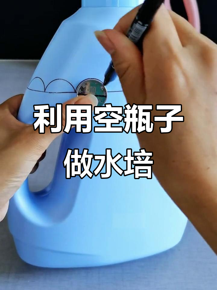 废洗衣液瓶变身水培花盆,简单又美观