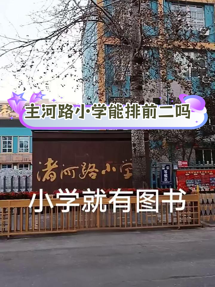 渚河路小学张慧图片