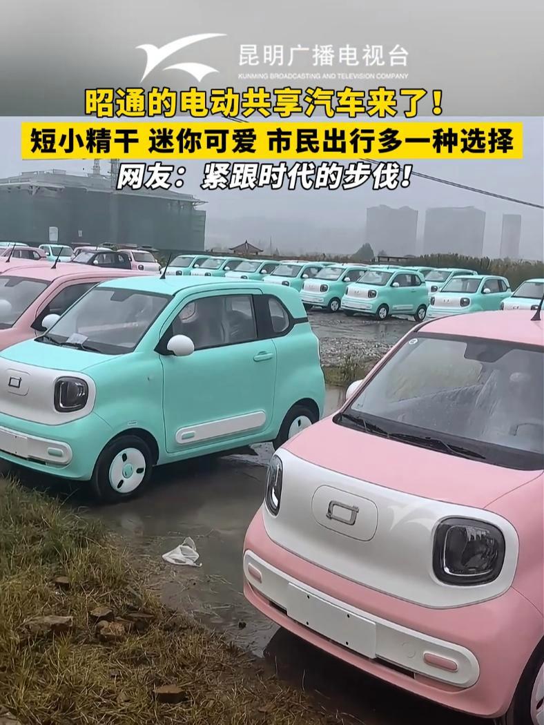 昭通的电动共享汽车来了!短小精干,迷你可爱,市民出行多一种选择.
