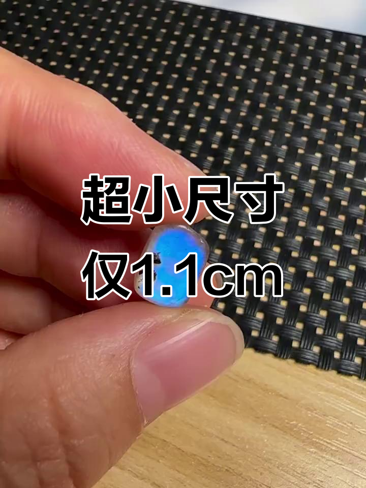 1.1厘米长,5r超迷你尺寸