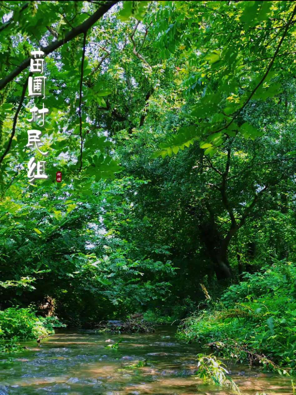 2025皖美视界 柯坦镇虎洞村苗圃村民组:翠幕流弦隐仙踪,碧波漾月藏雅