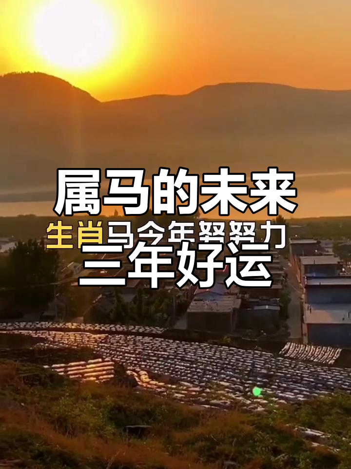 2025年元旦生肖马运势(属马的2025年运势和财运怎么样)