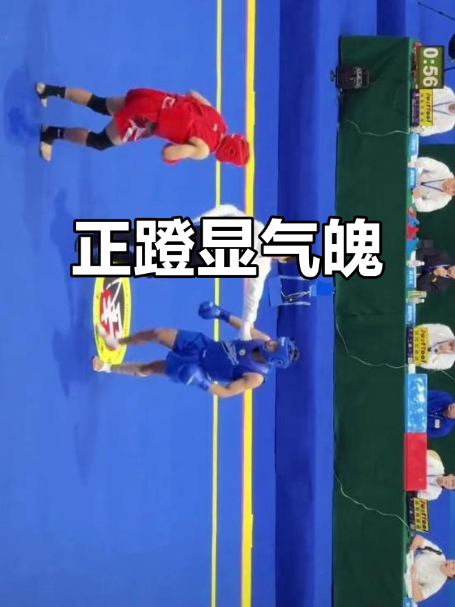 正蹬视频(正蹬腿的技术要领分解动作)