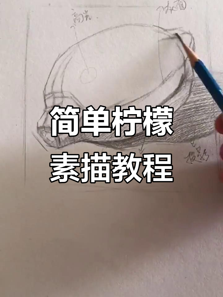 轻松学会柠檬素描,画出可爱静物