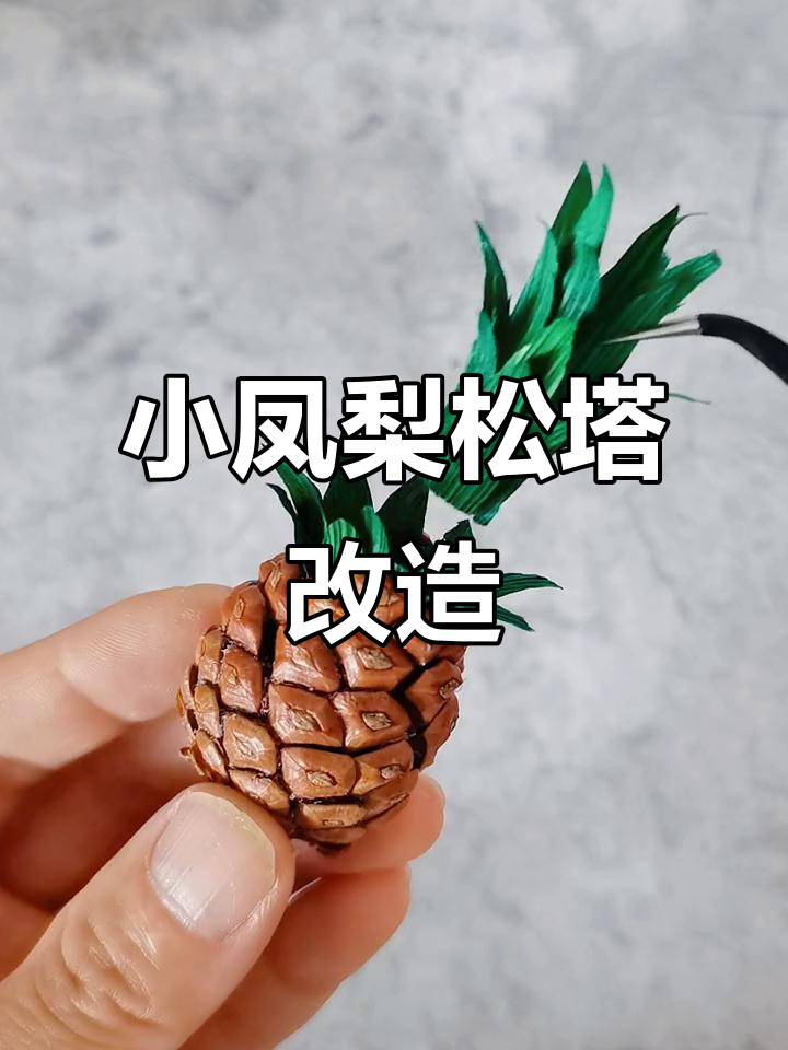 松果变宝:小凤梨手工创意大变身,超有爱!