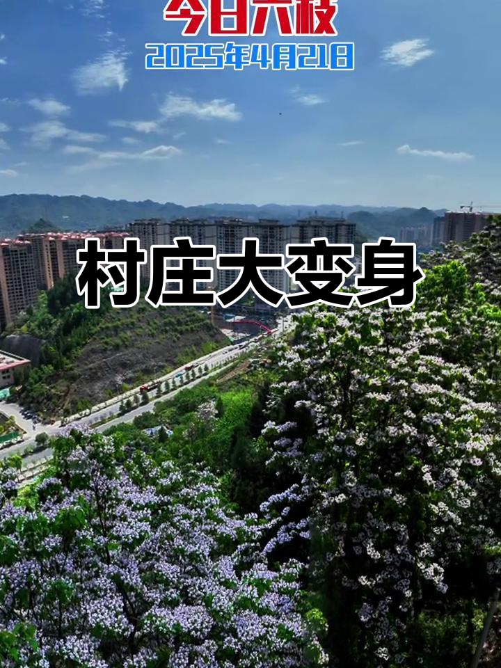 茶山村二十年巨变,楼房林立,田野消失