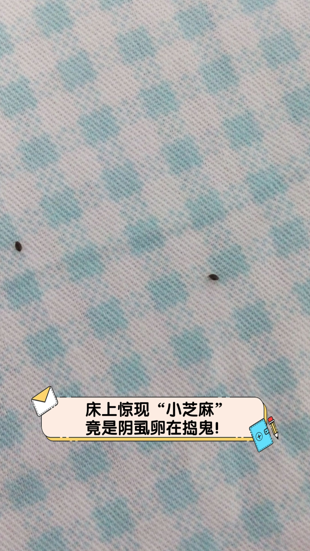 床上惊现"小芝麻",竟是阴虱卵在捣鬼!