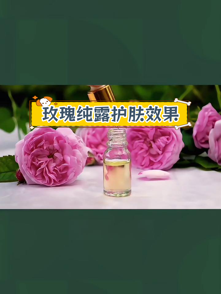 大马士革玫瑰纯露骗局图片