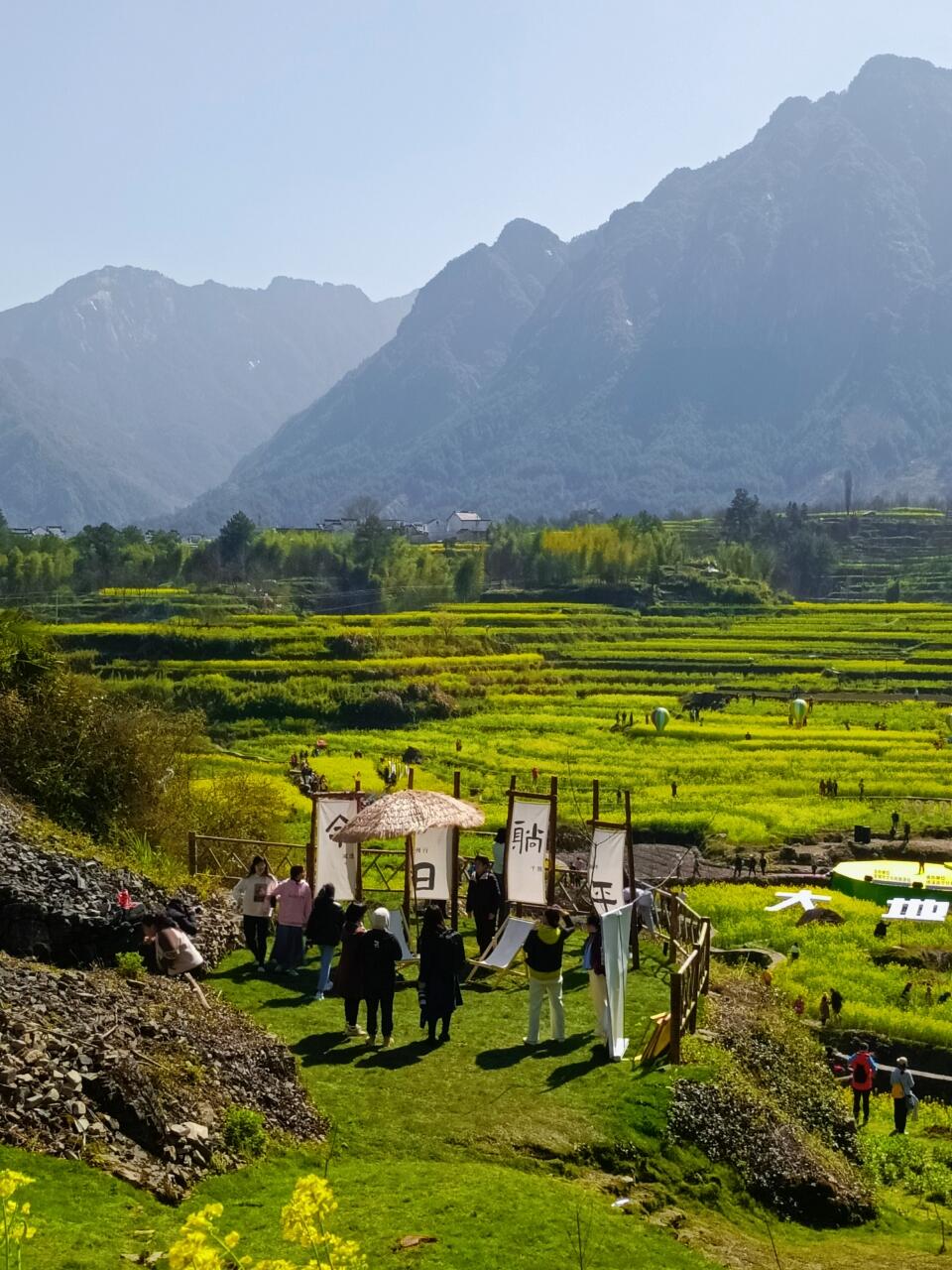 绩溪家朋油菜花
