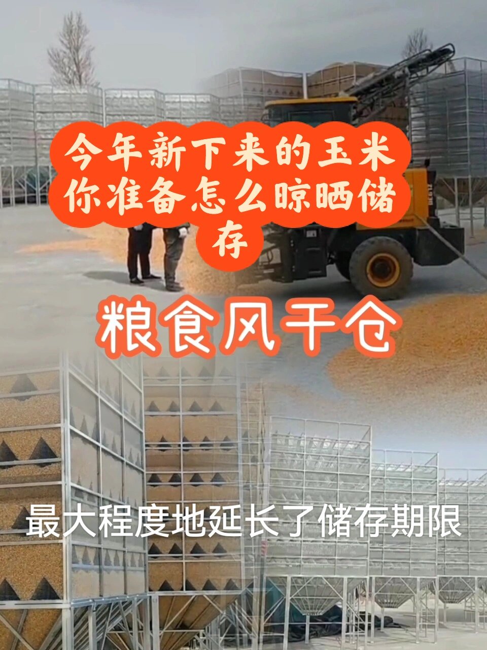 玉米风干仓风筛粮食自然风干仓
